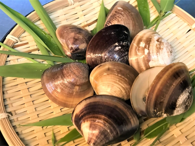 はまぐりの旨味が、ぎゅっと詰まっています♪房の駅ブログ