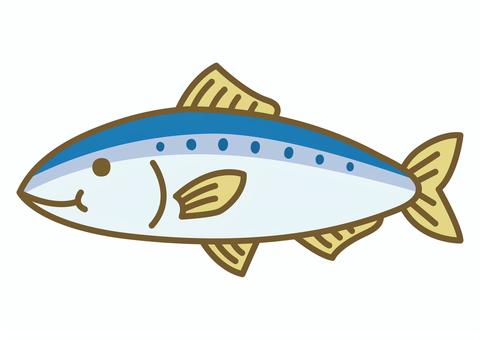 いわし - 魚貝・海そう - 食材 - Y!きっず図鑑