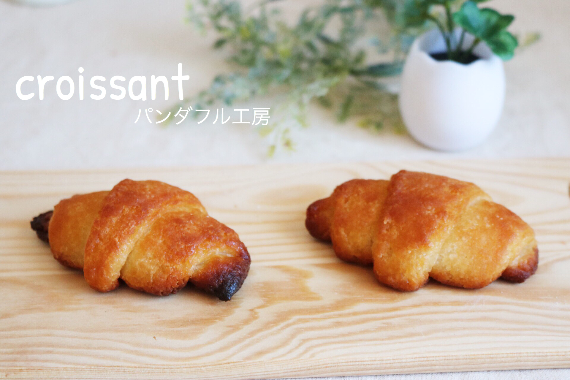 天然酵母パン専門店 ドラゴーネ 天然酵母パン 全粒粉のクロワッサン