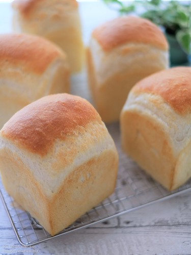 マスカルポーネ入りのあっさりふっくら「食パン」。クルトンにも便利わかば工房 Photo Diary – 上田まり子 ブログ