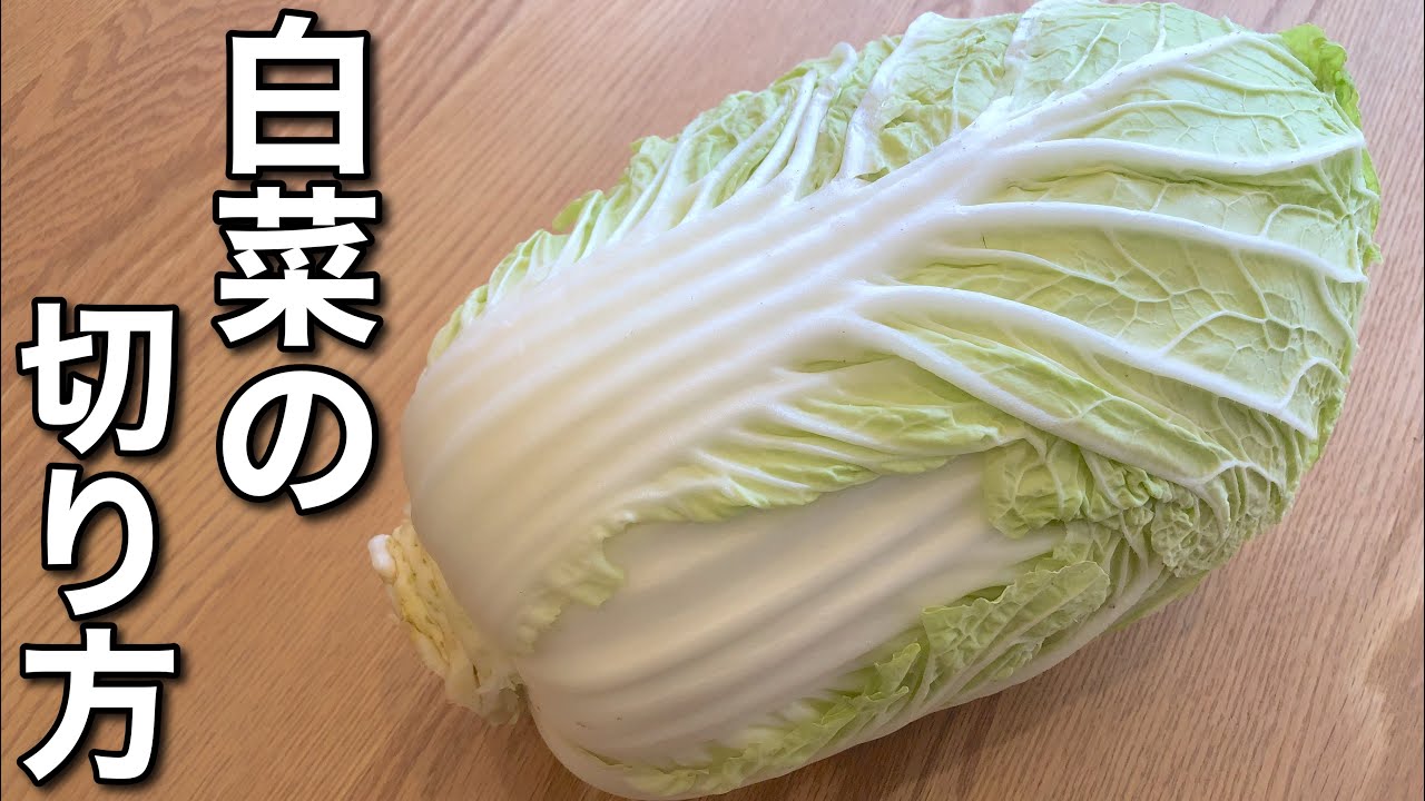 基本的な「白菜」の切り方！料理別に紹介名古屋グルメ ぱるとよ