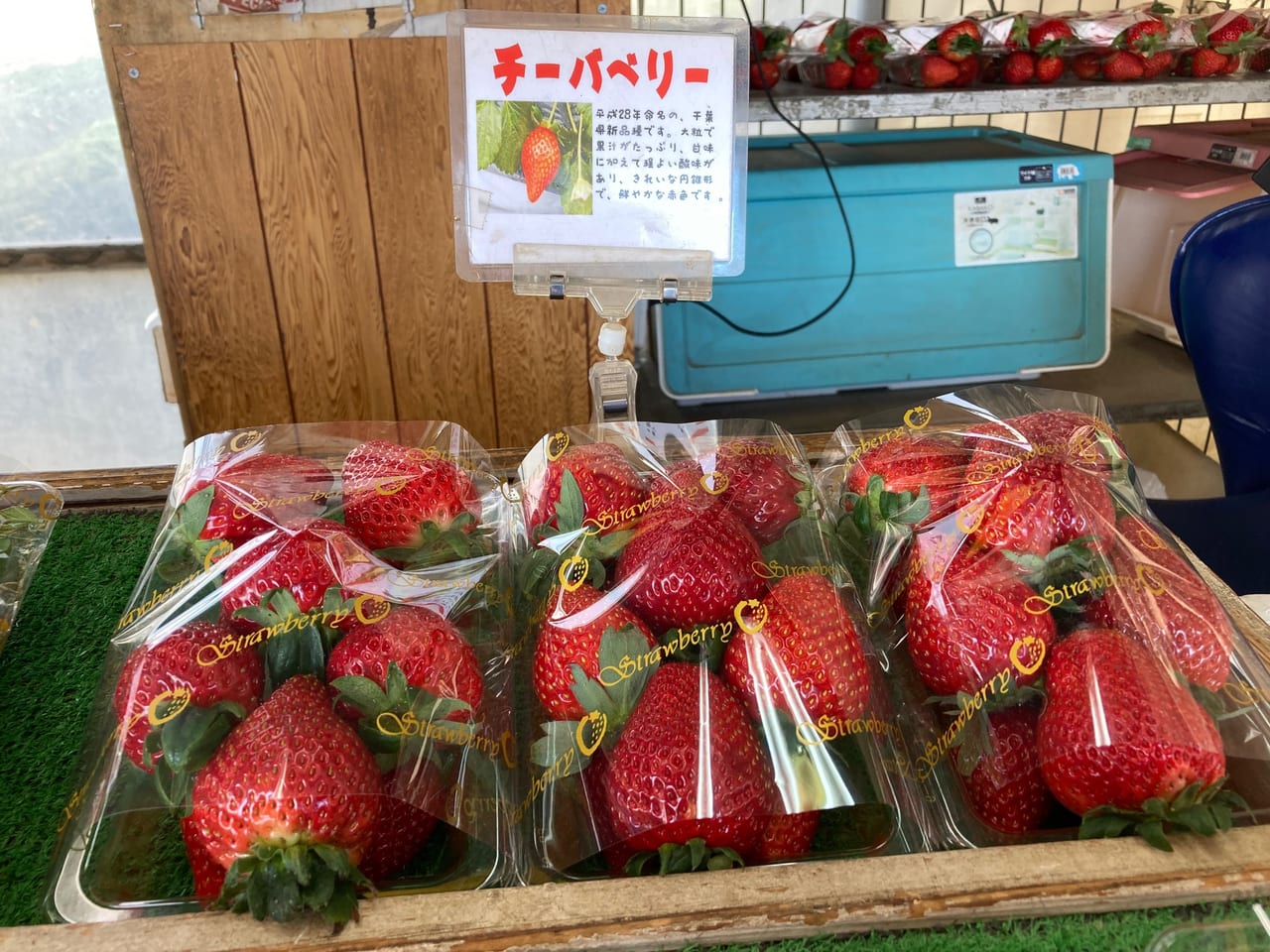 直売所水谷いちご園