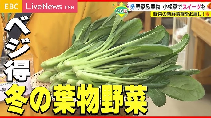 葉物野菜生産品目千種川ファーム 赤穂郡上郡町