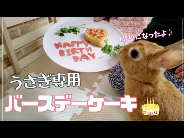 デコレーションうさぎ