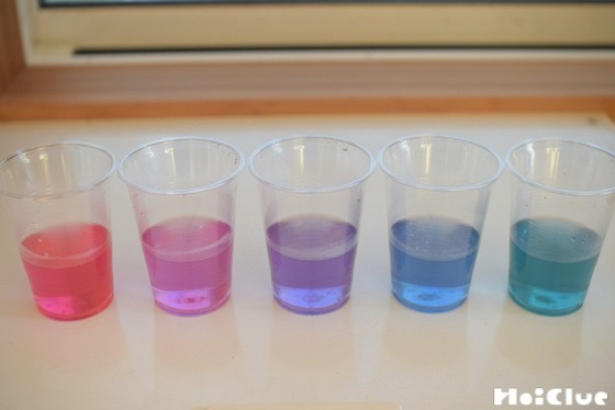 実験遊び 紫キャベツでカラフル色変化！〜素材 紫キャベツ〜保育と遊びのプラットフォーム ほいくる