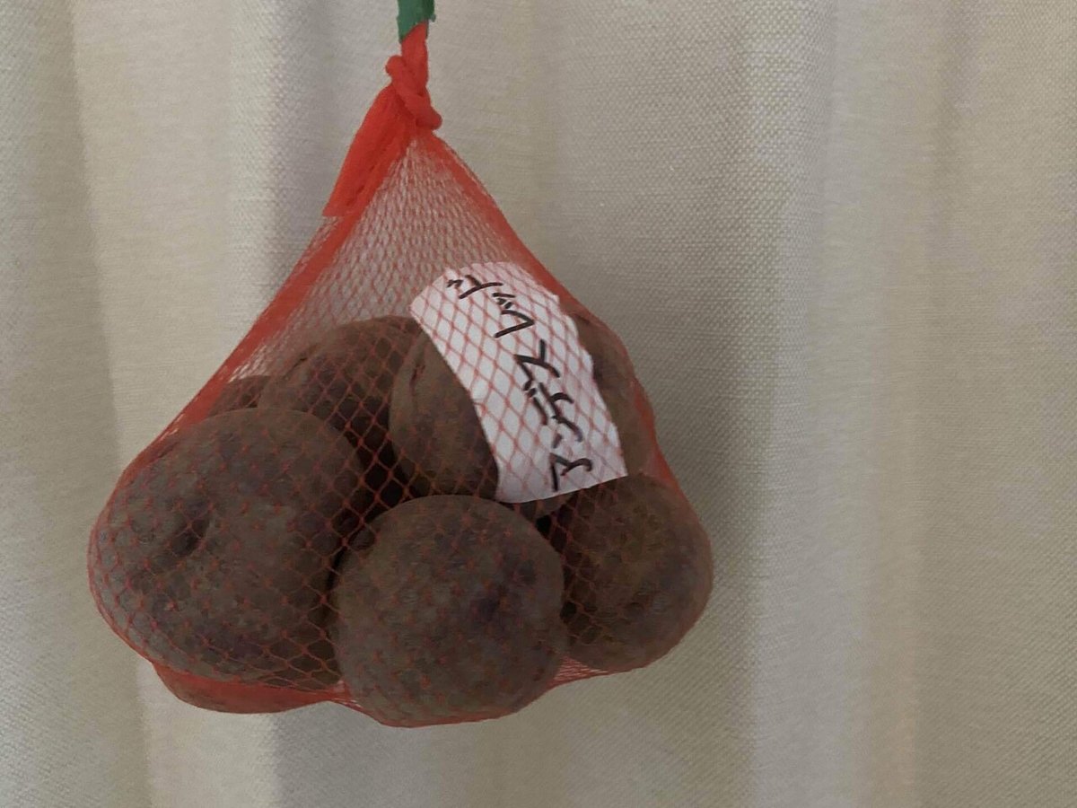 じゃがいもを害虫から守るために！じゃがいもの栽培における6つの害虫対策産直プライム.labブログJA連携！産地直送通販なら産直プライム