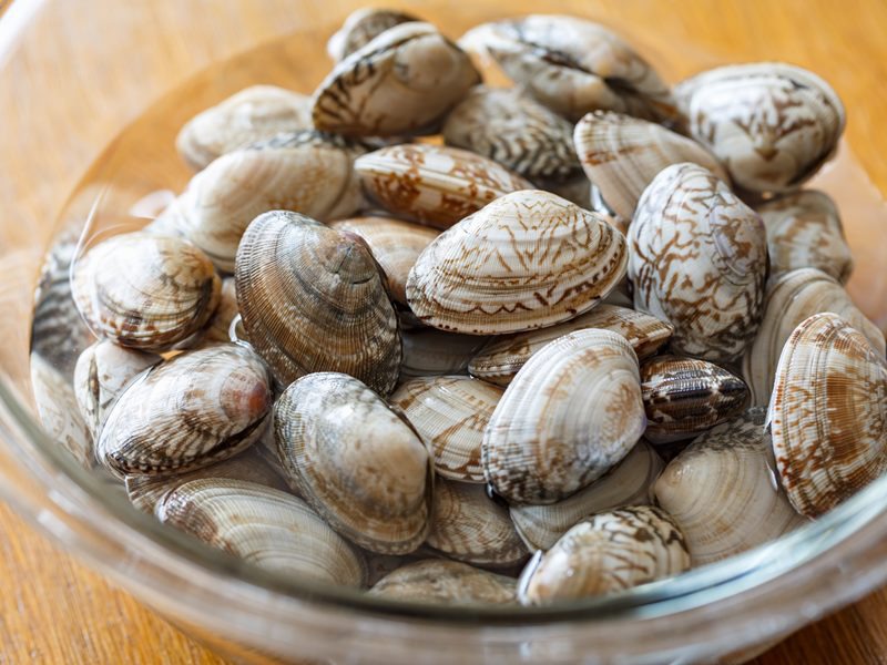 あさりは砂抜きを一晩放置すると死ぬ？腐っているか見分ける方法 – シュフーズ