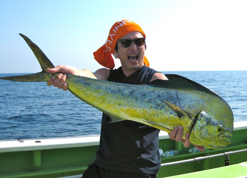 持続可能な漁業と シイラ 鬼頭刀 の可能性 - Taiwan Panorama