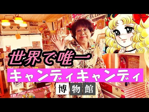 キャンディ・キャンディ博物館を見てきた その３: 『キャンディ・キャンディ』研究白書