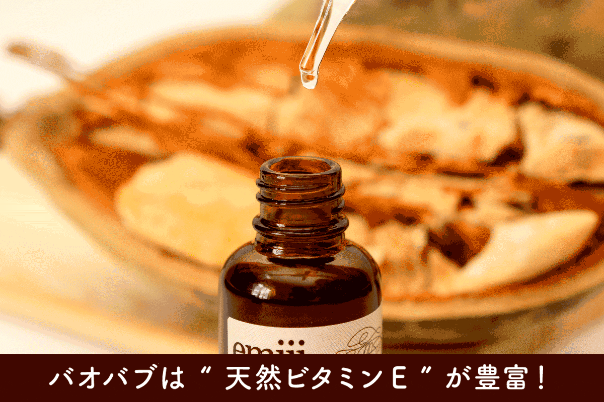 バオバブの実を食べてみました。『星の王子さま』にも出てくる木の実フランス＋＋