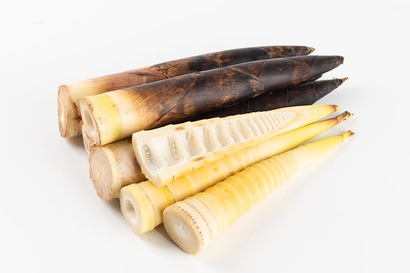 ハチク 淡竹 はちく ＜ 筍 たけのこ ：旬の野菜百科