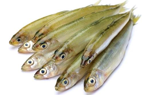 ワカサギの下処理！天ぷら唐揚げの油はね防止処理