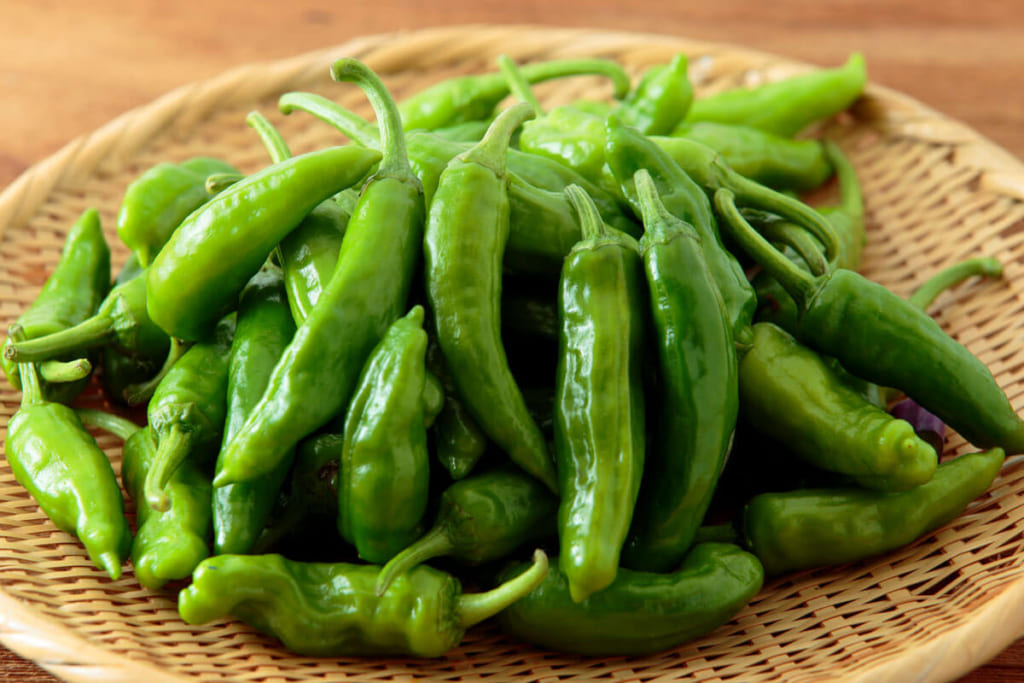 ししとうの保存 冷凍すれば1ヵ月長持ち！食感と風味を保つプロの技ほほえみごはん-冷凍で食を豊かに-ニチレイフーズ