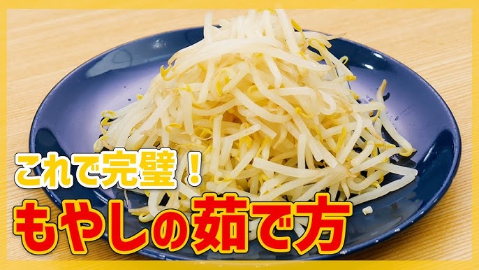 もやしがシャキシャキにするには「水から茹でる？」or「沸騰してから？」八百屋からのお知らせ！ 青髪のテツ- エキスパート - Yahoo!ニュース