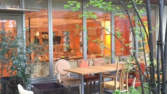 ☆☆☆☆☆☆☆☆☆☆, おやさいガーデンTIERRA阪急うめだ店です👩‍🍳💕, こんなブリュレあったらいいなぁ〜。,から始まった現在大好評の新作デザートのご紹介！🧚‍♀️, おっきなおっきな100gのアイスクリームボールを乗っけちゃいました‼️, その名も、、、,『アイスクリームブリュレ』です！💕💕, 店内で手作りの外はパリッと中はトロッとのこだわりブリュレです。数量限定で発売中💕,