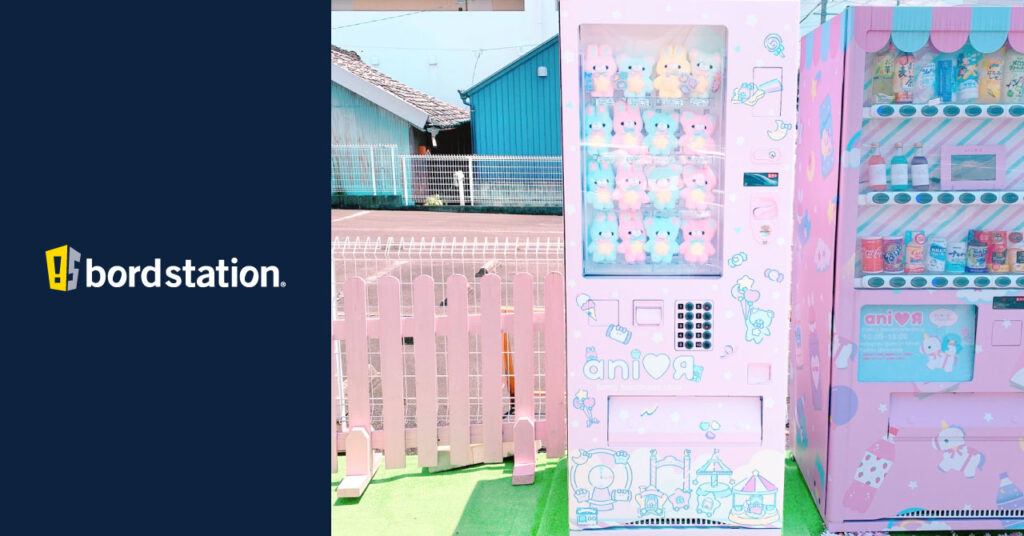 無農薬新鮮野菜が手に入る無人販売所！南林間「la graine～ラ・グレーヌ～」 - 大和に暮らそう