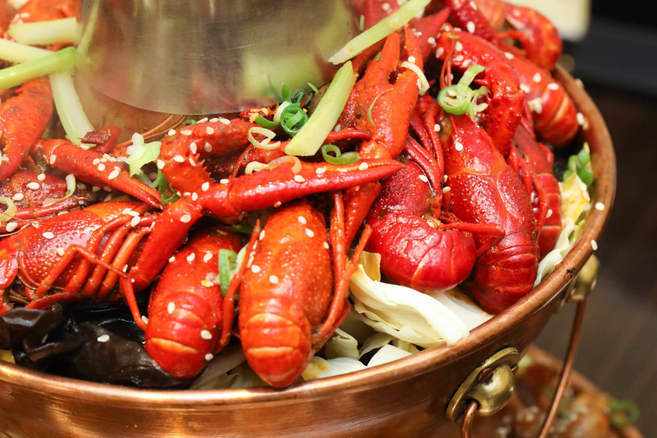 福井でカエル肉発見！ - 福井かえる道