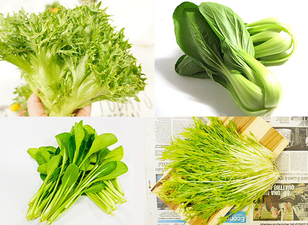 3・4・5月春に種まき・苗を植える葉物野菜休日菜園