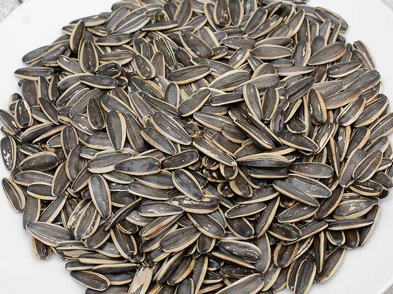 レビュー 洽洽椰香瓜子「ひまわりの種 ココナッツ味 」 業務スーパ