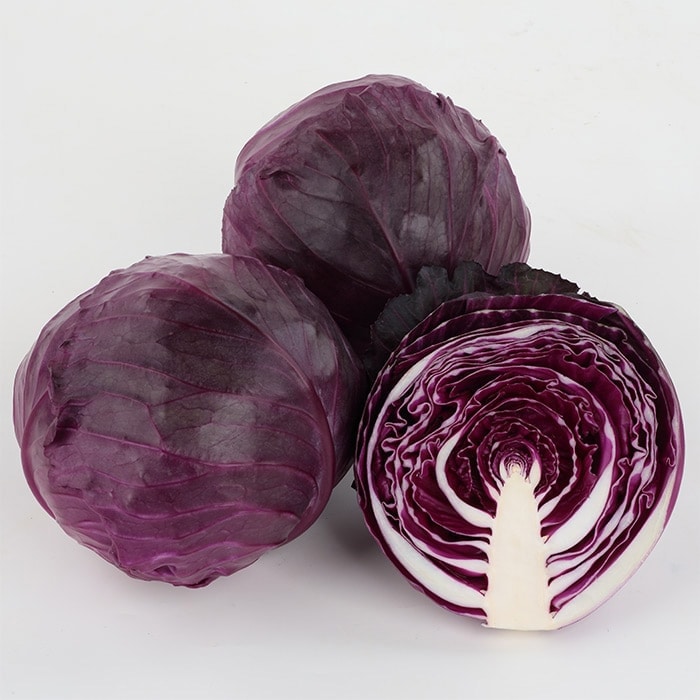 紫キャベツ 赤きゃべつ＜キャベツの品種：旬の野菜百科
