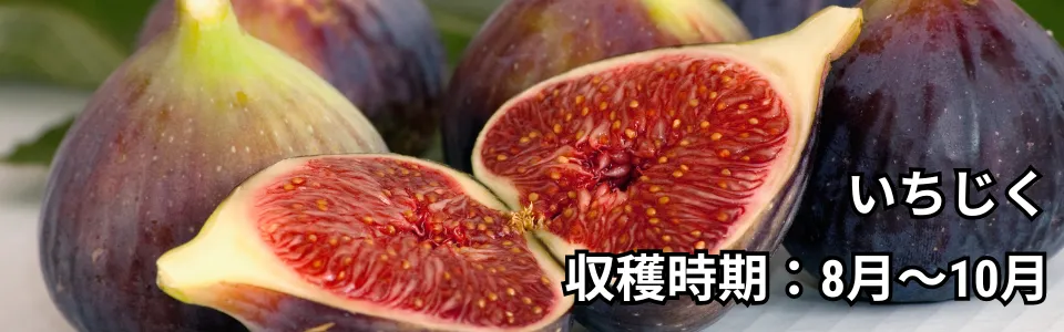 まつの幸せフルーツボックス 秋の味覚をアレンジして華やかに株式会社まつの