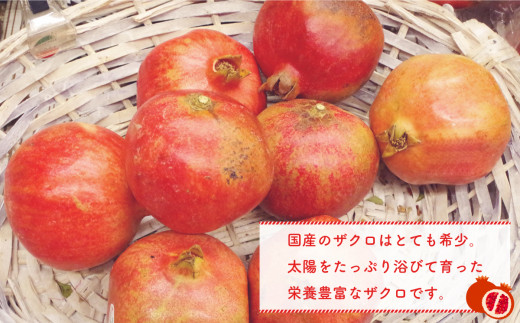 焼肉ホルモンざくろ豊田店の名物『生タン』が美味すぎる！混雑具合がヤバかった。メニューや料金、駐車場情報まとめコハクの豊田市ぼっちグルメ