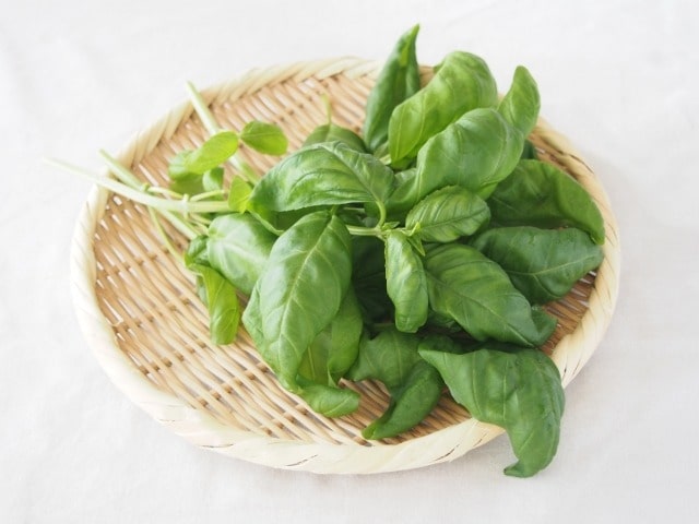 バジルの代用品 6選 代わりになるのはコレ！パセリ・大葉などおすすめ代替品を紹介代用品お探しサイト 困った時に役立つ カワルン