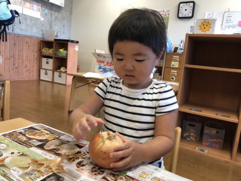 お子さまも喜ぶ♪トッピングハヤシライス