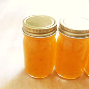 手づくりキウイと冷凍梅ジャムミニキット 手作りキット 南高梅・はちみつ梅の通販 わたしの家は梅農家 ぷらむ工房公式オンラインショップ