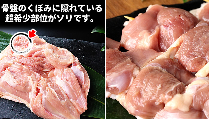 飛騨地鶏 焼き鳥 10本セットB 部位5種類 もも 皮 ふりそで なんこつ はつ 希少部位 国産鶏肉 食べ比べ 鶏肉 小分け 飛騨地鶏 地鶏 飛騨地鶏焼き鳥 10本セットB 部位5種類 もも 皮 ふりそで なんこつ ハツ 希少部位 国産鶏肉 食べ比べ Q295 : 飛騨 市ANAのふるさと納税