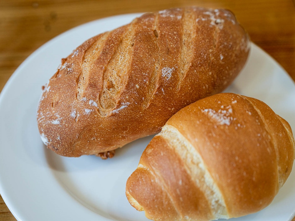 食品に生える白カビ、その真実とは？白カビが隠す驚きの効能とは