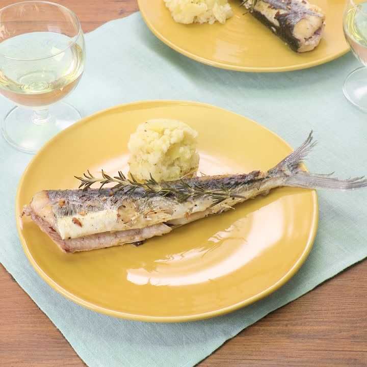 台湾から日本へ――トビウオで結んだ黒潮の道 - Yahoo!ニュース