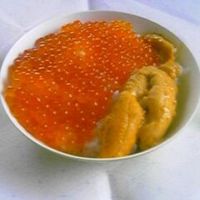 絶品！うに丼の楽しみ方と節約レシピのご紹介2025 年のリアルなLemon8ユーザー体験