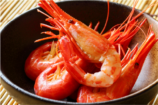 北海しまえび500ｇ産直店 海宝