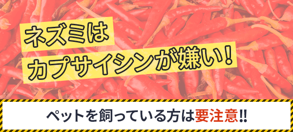 唐辛子でネズミ対策するメリットは？設置場所や使い方まで解説害獣駆除ガイド