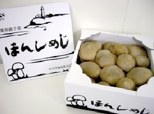 本しめじ」の人気商品一覧安い商品を通販サイトから探す - 価格.com