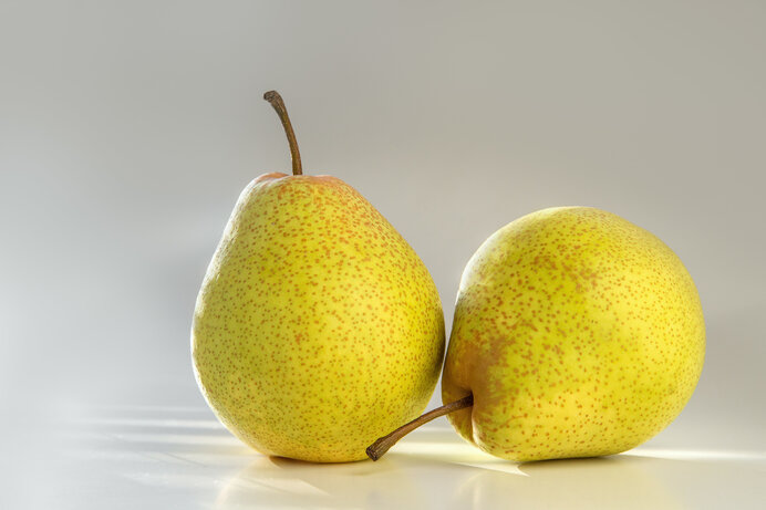 秋の収穫祭！『旬の青果4種』合計約6.2kg うまか美人みかん約2.5kg、大玉梨約1.2kg、安納紅芋小玉約1.5kg、新潟県長岡産こしひかり1kg※常温 送料無料26年発送先行予約 北海道赤肉メロン 2kg 2玉入り 合計約4.0kg 2026年7月中旬から発送開始予定 _01988果物