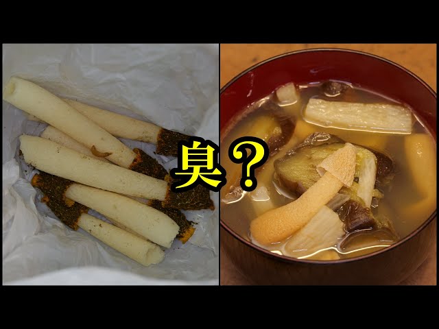 キノコ ソフトマスコット2 ウスキキヌガサタケ です。 Phallus Iutetus 担子菌類・スッポンタケ目スッポンタケ科 柄の高さ:10〜20㌢傘の直径:2〜3㌢ 発生時期:梅雨時〜秋 発生場所:雑木林の地面 成長すると黄色い網目状のベールを広げるキノコ。 「キノコの女王」として