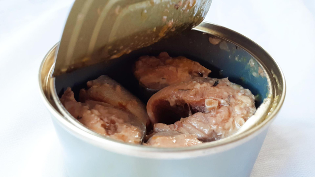 キャンプに缶詰が超便利。でも直火で温めるのはＮＧ？ BEST TiMES ベストタイムズ