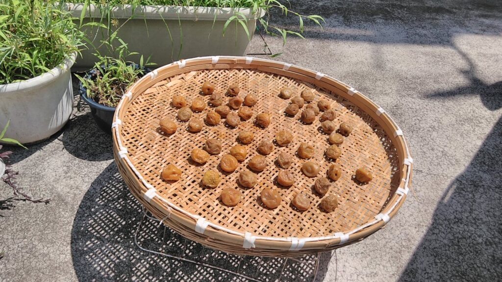 昔ながらの梅干しの作り方！酸っぱい本格派レシピを実例で詳しく解説