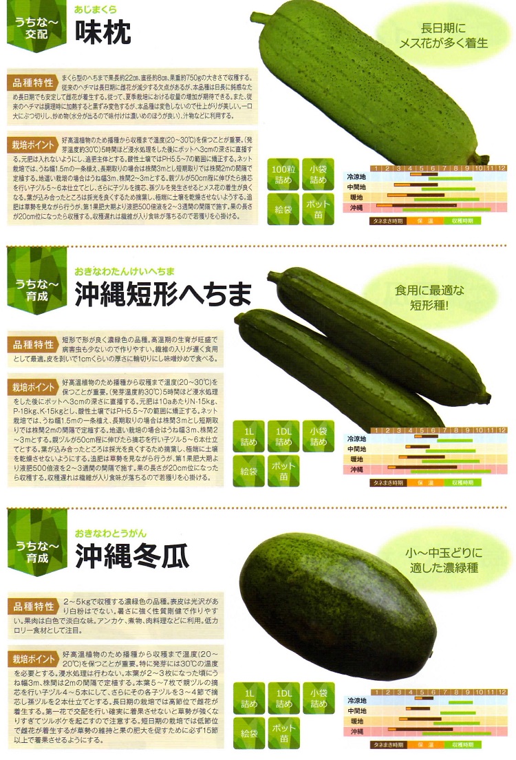 使い勝手抜群！クセのない淡泊な味わいの「冬瓜」マイナビ農業