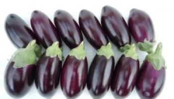 ヘタ紫なすイヤリングーKaga Vegetables Accessoriesiichi日々の暮らしを心地よくするハンドメイドやアンティークのマーケットプレイス