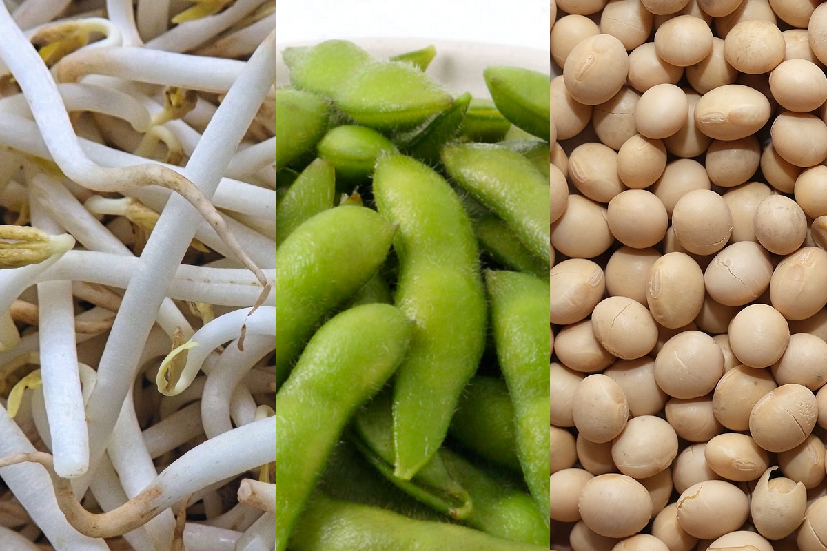 ピリ辛豆もやしのナムル コンナムルムチム⁡ ⁡ ⁡ ⁡ 定番！豆もやしのナムルです✨ ⁡常備菜 ミッパンチャン として作っておくととっても便利です😊 ⁡ ビビンバの具にも👍✨ ⁡ 大豆を発芽させた大豆もやし には、食物繊維、ミネラル、ビタミンの他にGABA、大豆