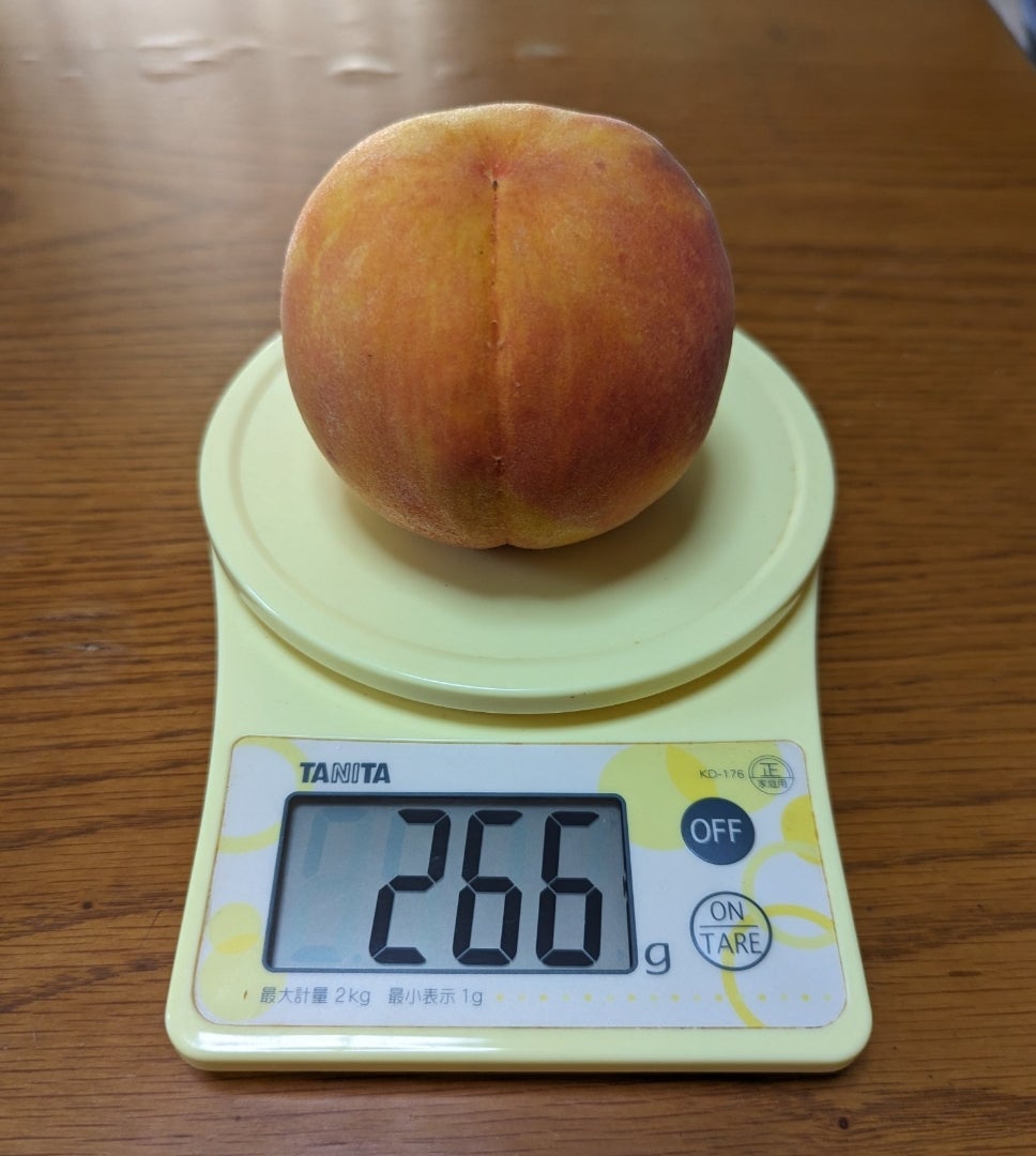 猿投産商品旬な果物・野菜・山菜の通販「さなげ青果」