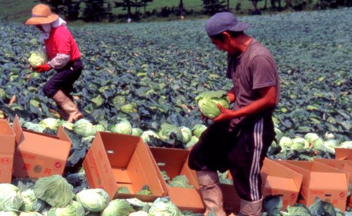 農業界地図 Agri-map