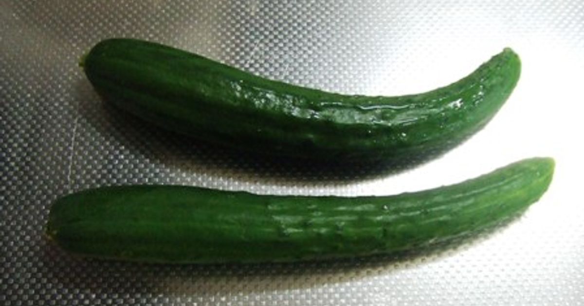 ぎゅっと中越 2024年8月号 vol.19広報誌JAえちご中越