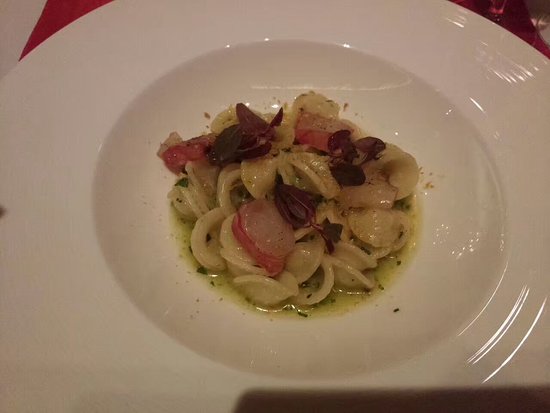 ボンジョルノ🇮🇹 イタリア猫です🐈‍⬛ 完全に犬派のぼなぺTVなんですが、たまには猫とも絡んだりします。野良猫にはほぼ逃げられて相性がイマイチだけど、飼い猫は愛想良くしてくれるんで嬉しいです😃 ここぞとばかりに猫成分を補充‼️ ぼなぺティート🇮🇹フィレンツェ