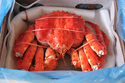 コストコの巨大タラバ蟹。 :＊｀▽´＊本日も晴天なり♪