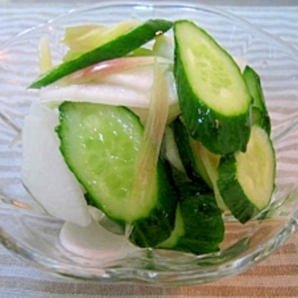 大根の旨だし浅漬け・甘めの漬物で子供も大好き！風邪予防にも◎