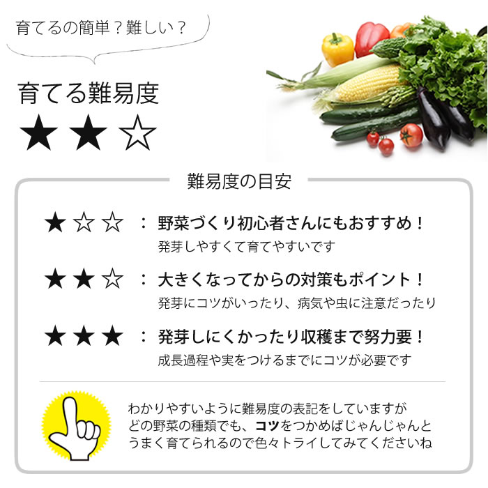 空中栽培もできる！ミニカボチャの育て方